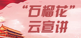 “石榴花”云宣講